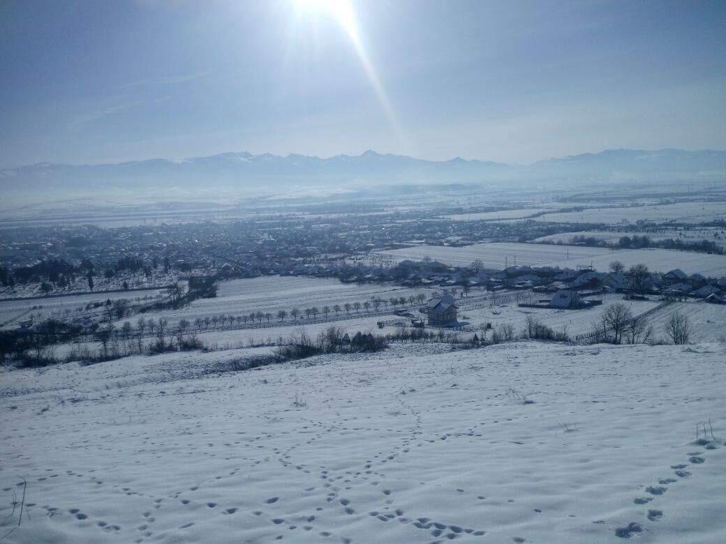 Vila Tara Hategului Εξωτερικό φωτογραφία